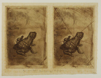 Crapaud Bronze, first version (Two Impressions) by Felix Buhot at Sarah Sauvin