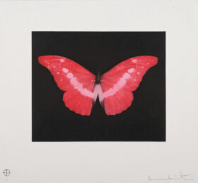 Damien Hirst To Lose by Damien Hirst at Clifton Gallery