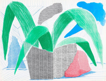 David Hockney Green Grey; Blue Plant, July (Diptych) by David Hockney at Clifton Gallery