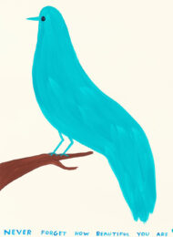 David Shrigley Never Forget How Beautiful You Are by David Shrigley at Clifton Gallery