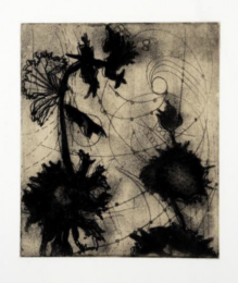 Escobilla Study by Suzi Davidoff at Flatbed Press and Gallery