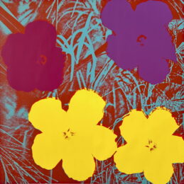 Flowers #71 by Andy Warhol at Michael Lisi/Contemporary Art