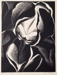 Iris by Paul Landacre at Catherine Burns Fine Art