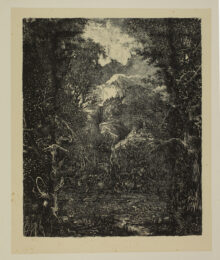 Les Villes derrière le marécage [The Towns behind the Swamp] by Rodolphe Bresdin at Sarah Sauvin