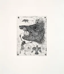 Looking for Water from Skull Project by Brad Kahlhamer at LeRoy Neiman Center for Print Studies