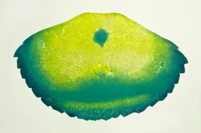Nebula by Vanessa Paschakarnis at Flatbed Press and Gallery