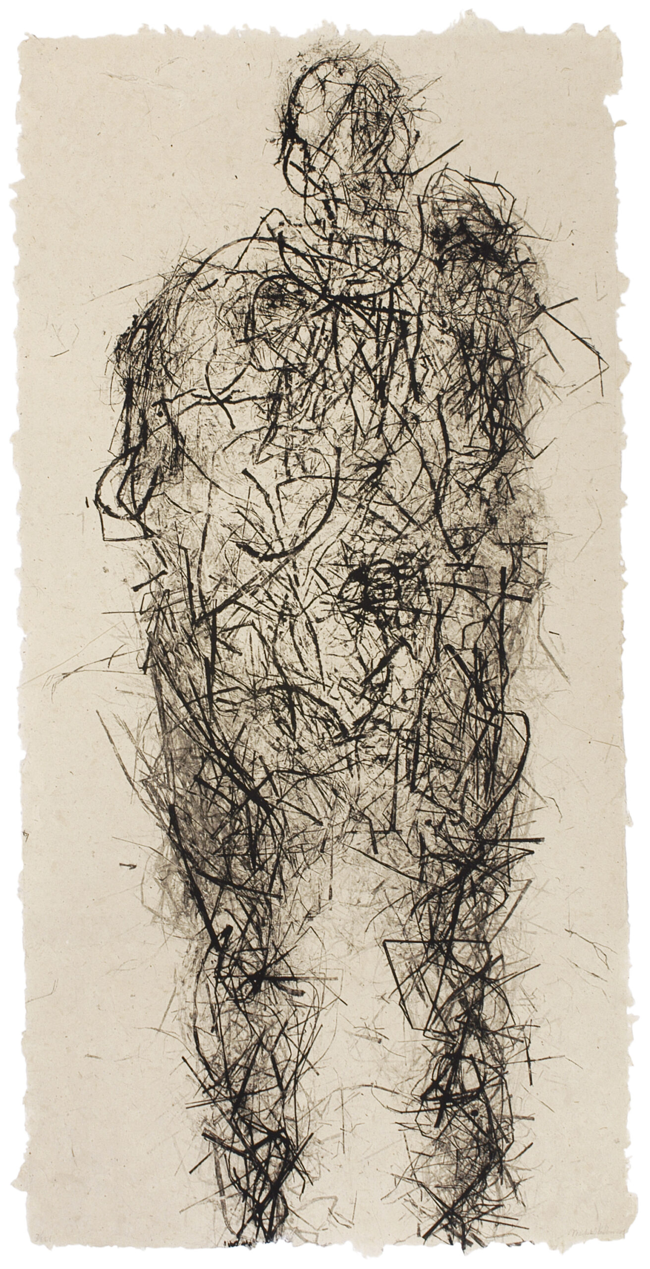 Prairie by Michele Oka Doner