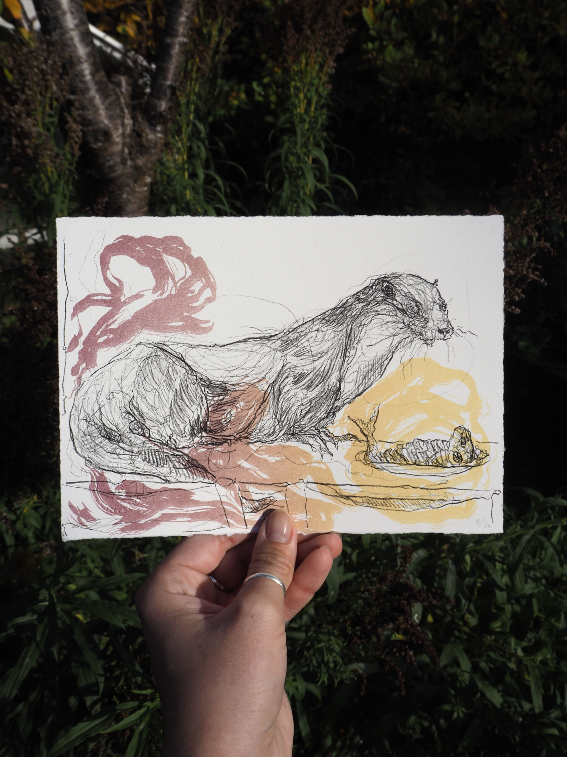 Otter by Georgia Green