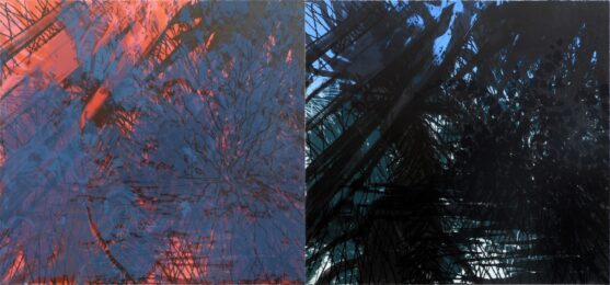 Riccoso by Peter Alexander at Cirrus Gallery + Cirrus Editions Ltd.