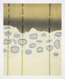 Sandia XXII by Sarah Smelser at Manneken Press (IFPDA)