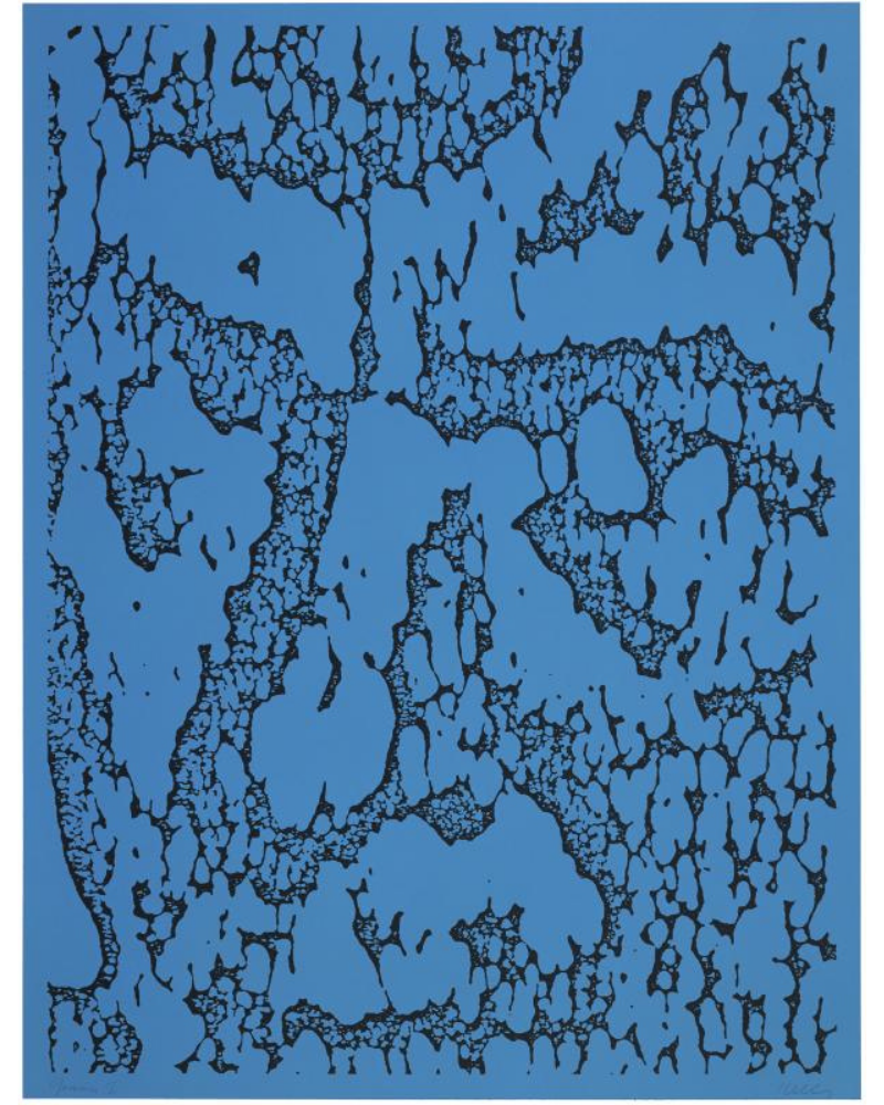 Jack/Blue by Ellsworth Kelly