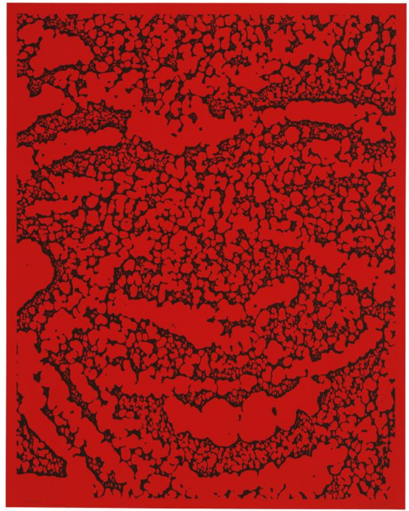 Jack/Red by Ellsworth Kelly