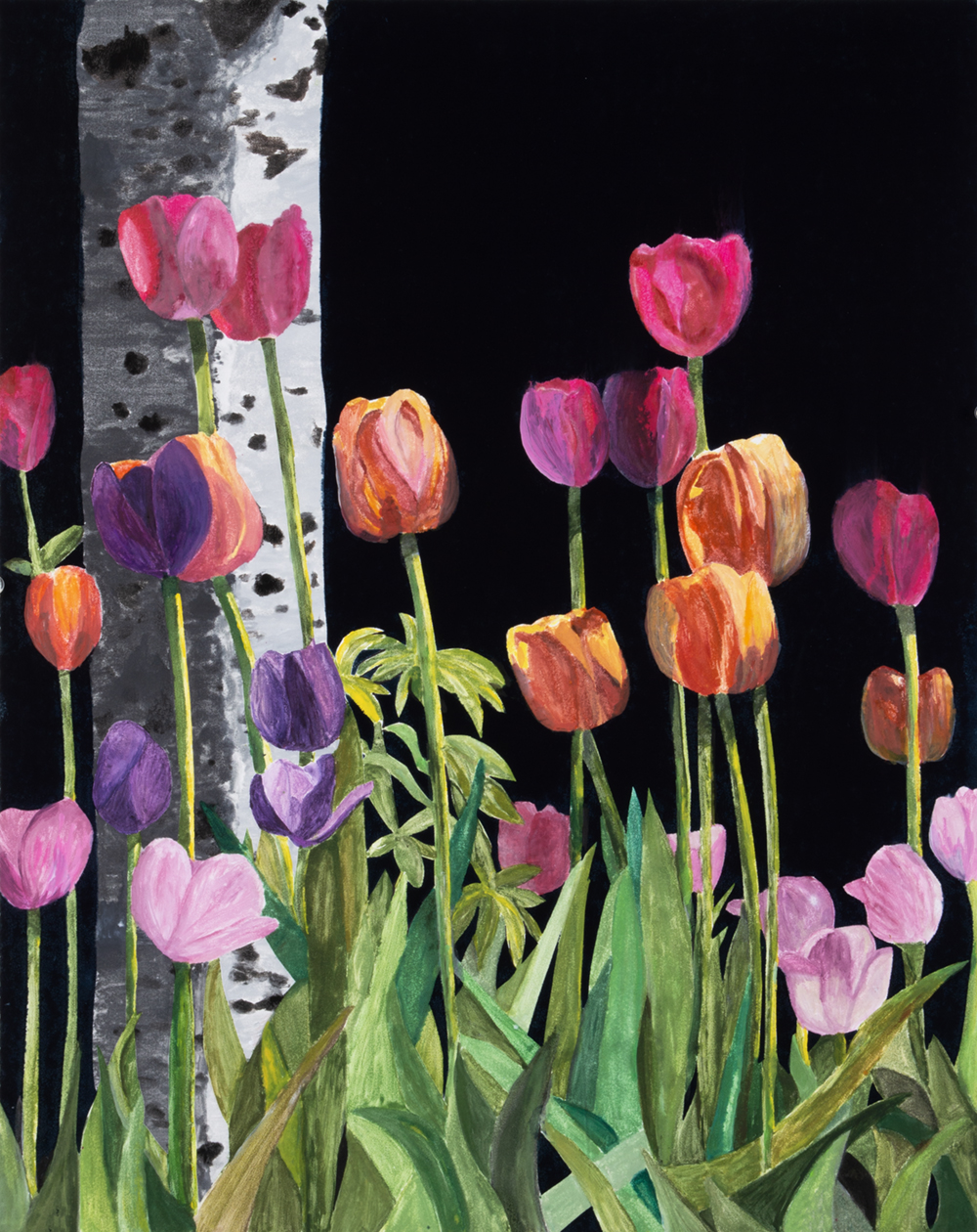 Velvet Morning by Sari Davidson