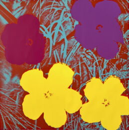 Flowers #71 by Andy Warhol at Michael Lisi/Contemporary Art