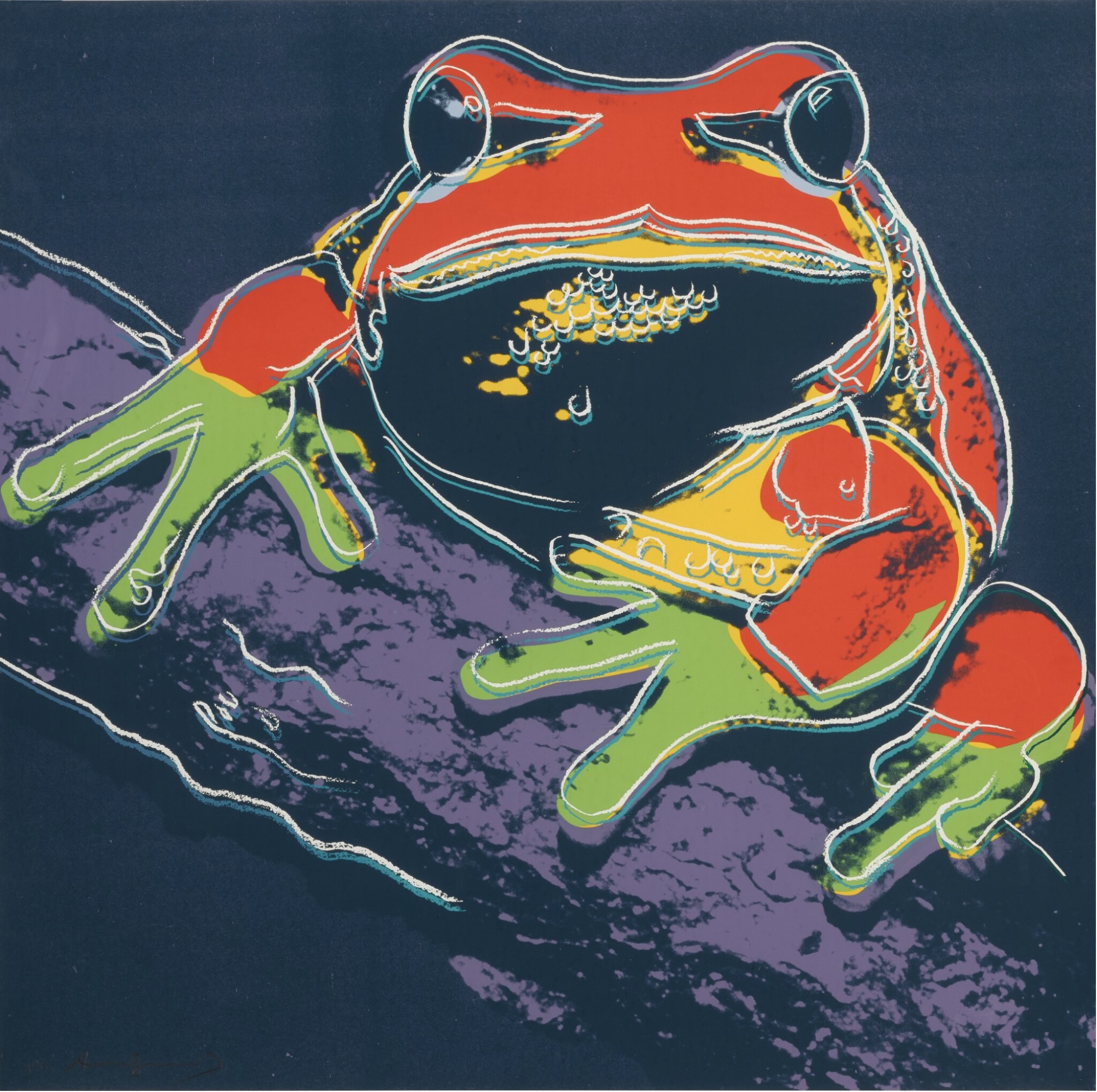 Pine Barrens Tree Frog by Andy Warhol