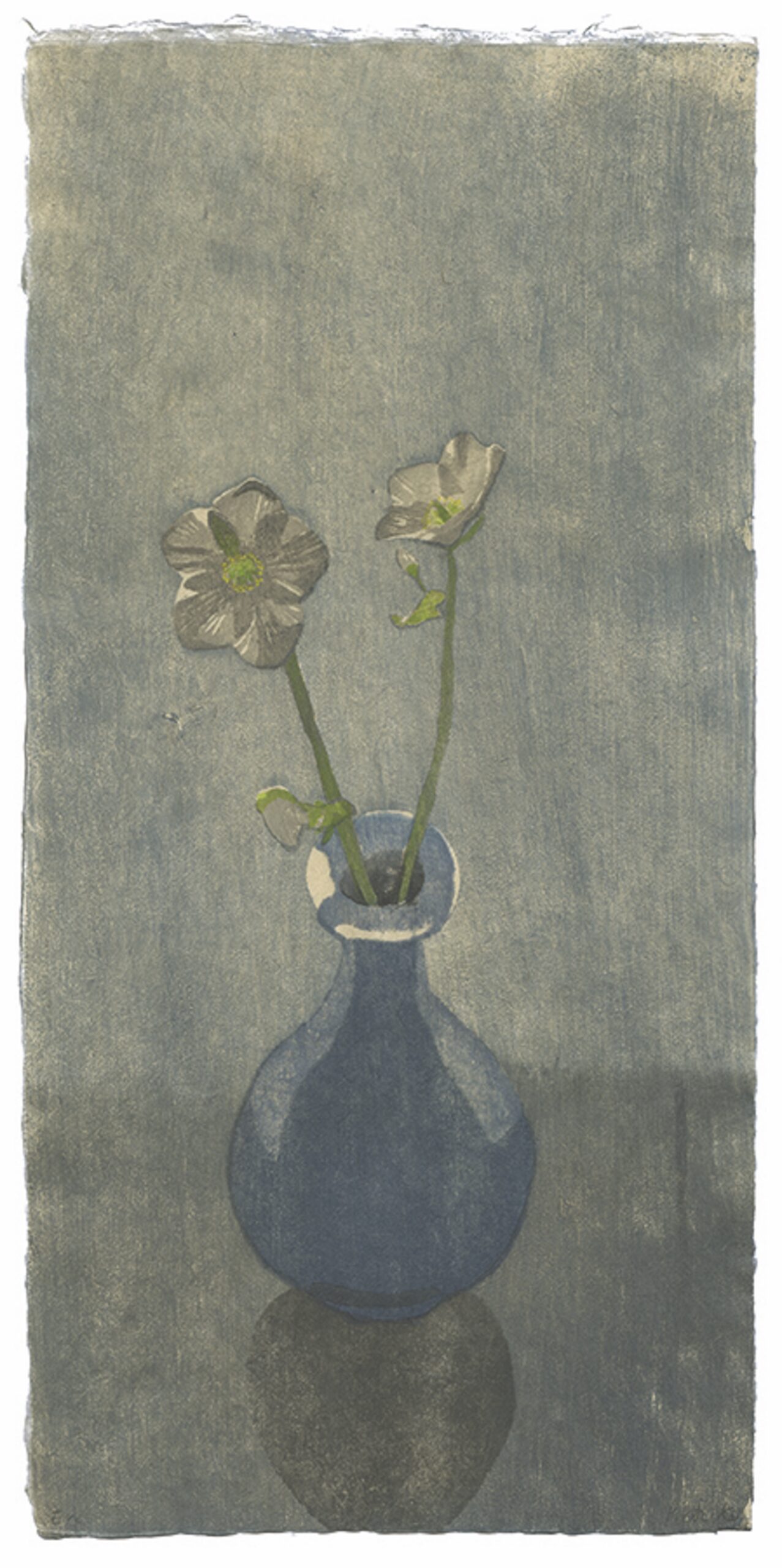 Christmas Roses by Eva Pietzcker