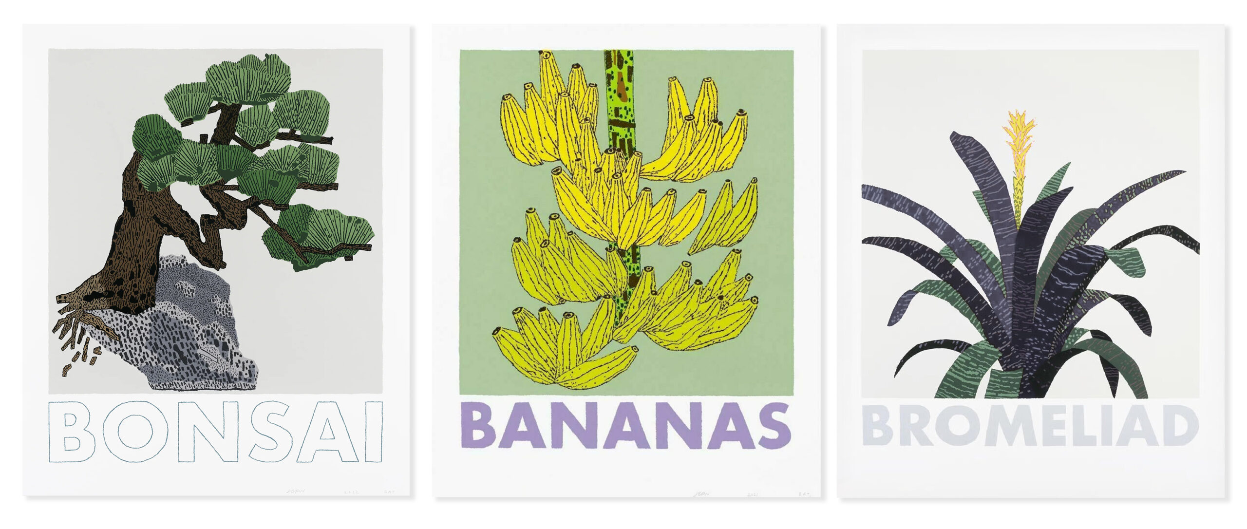 Bonsai, Banana and Bromeliad by Jonas Wood