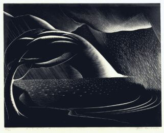 Storm by Paul Landacre at Catherine Burns Fine Art
