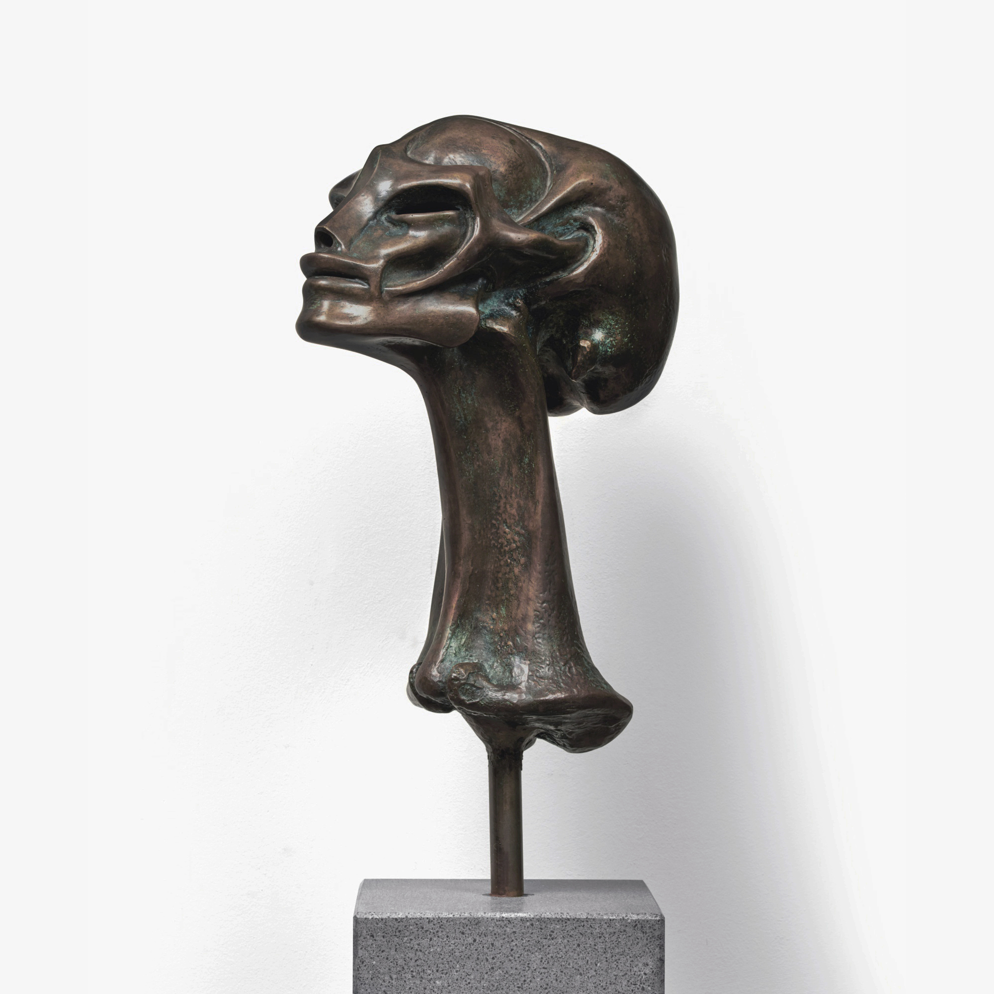 Kleiner Kopf by HR Giger