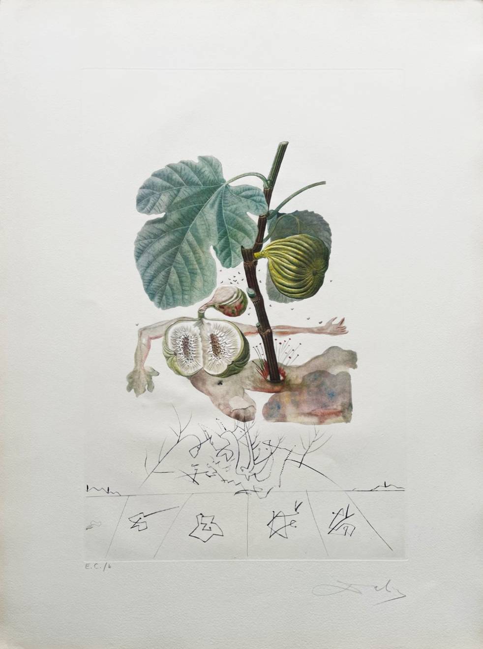 Homme figuier (Fig Man) by Salvador Dalí