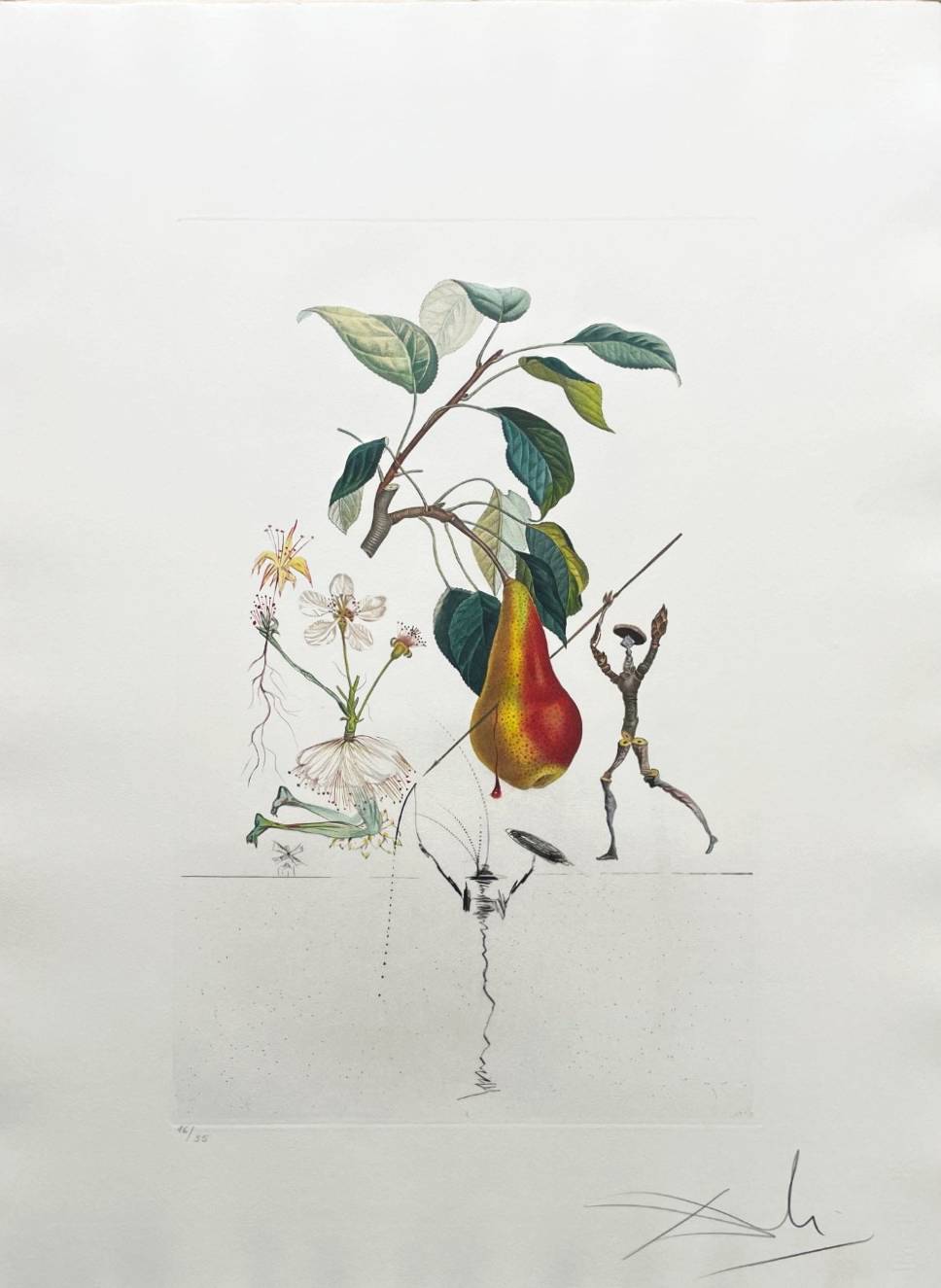 Don Quixote Pear from Flordali suite by Salvador Dalí