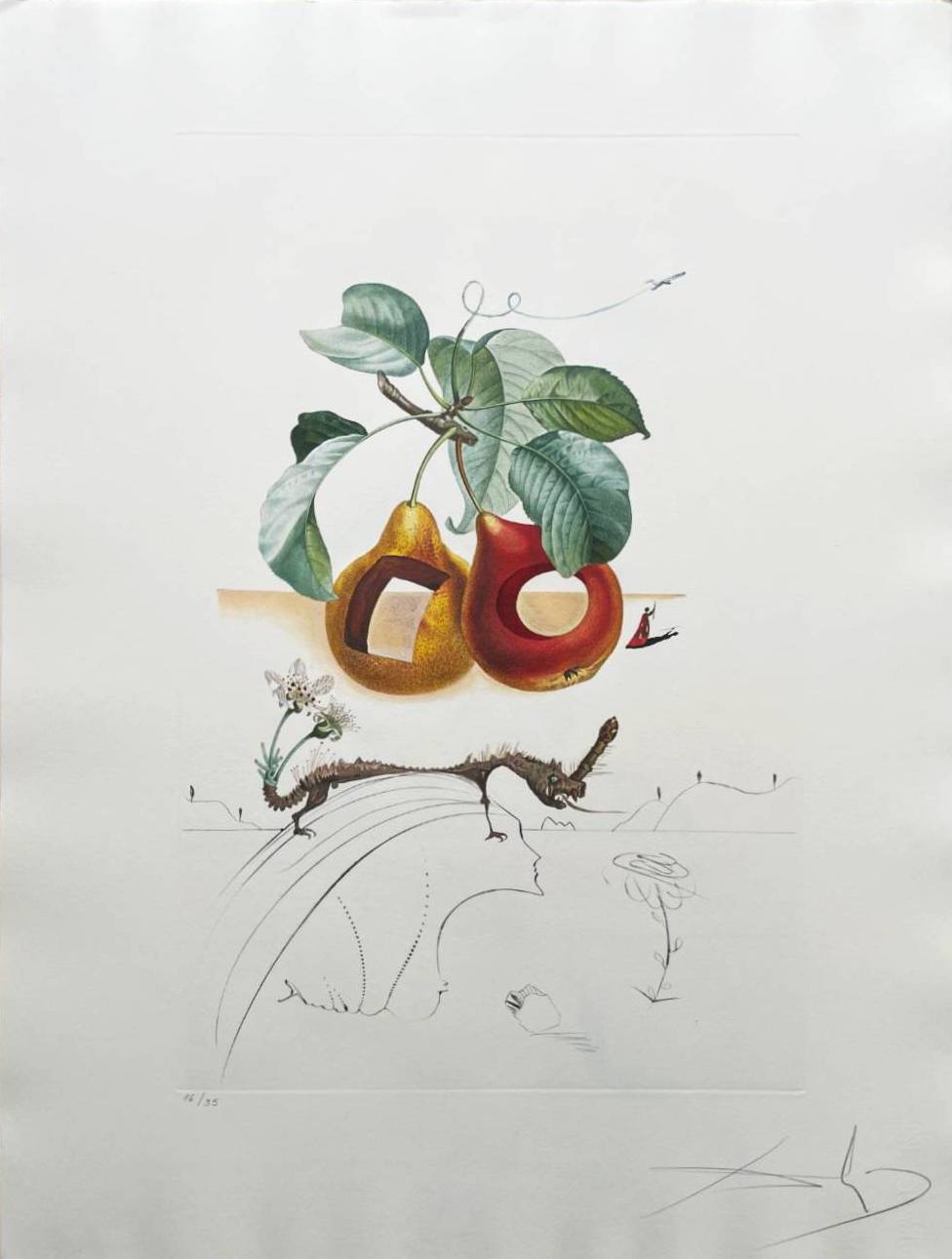 Holed Fruit from Flordali suite by Salvador Dalí