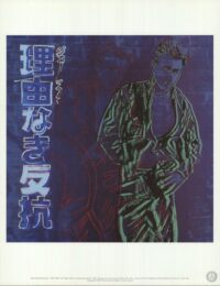 Ads: Rebel Without a Cause (James Dean) by Andy Warhol at Dovehouse Contemporary