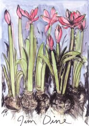 Anemones by Jim Dine at Dovehouse Contemporary