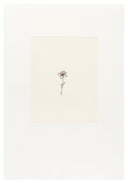Correction by Liliana Porter at Krakow Witkin Gallery