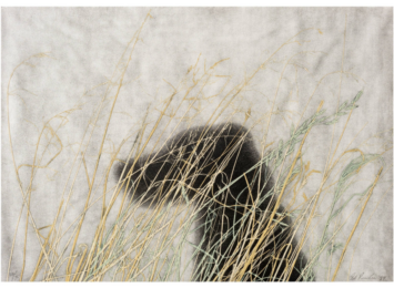 Dog by Ed Ruscha at Mixografia