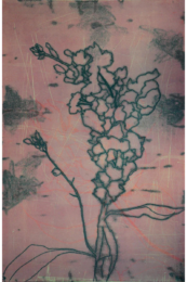 Garden Suite – May 11 by Suzi Davidoff at Flatbed Press and Gallery