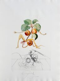 Abricot chevalier (Apricot Knight) by Salvador Dalí at Epicentrum Art Gallery
