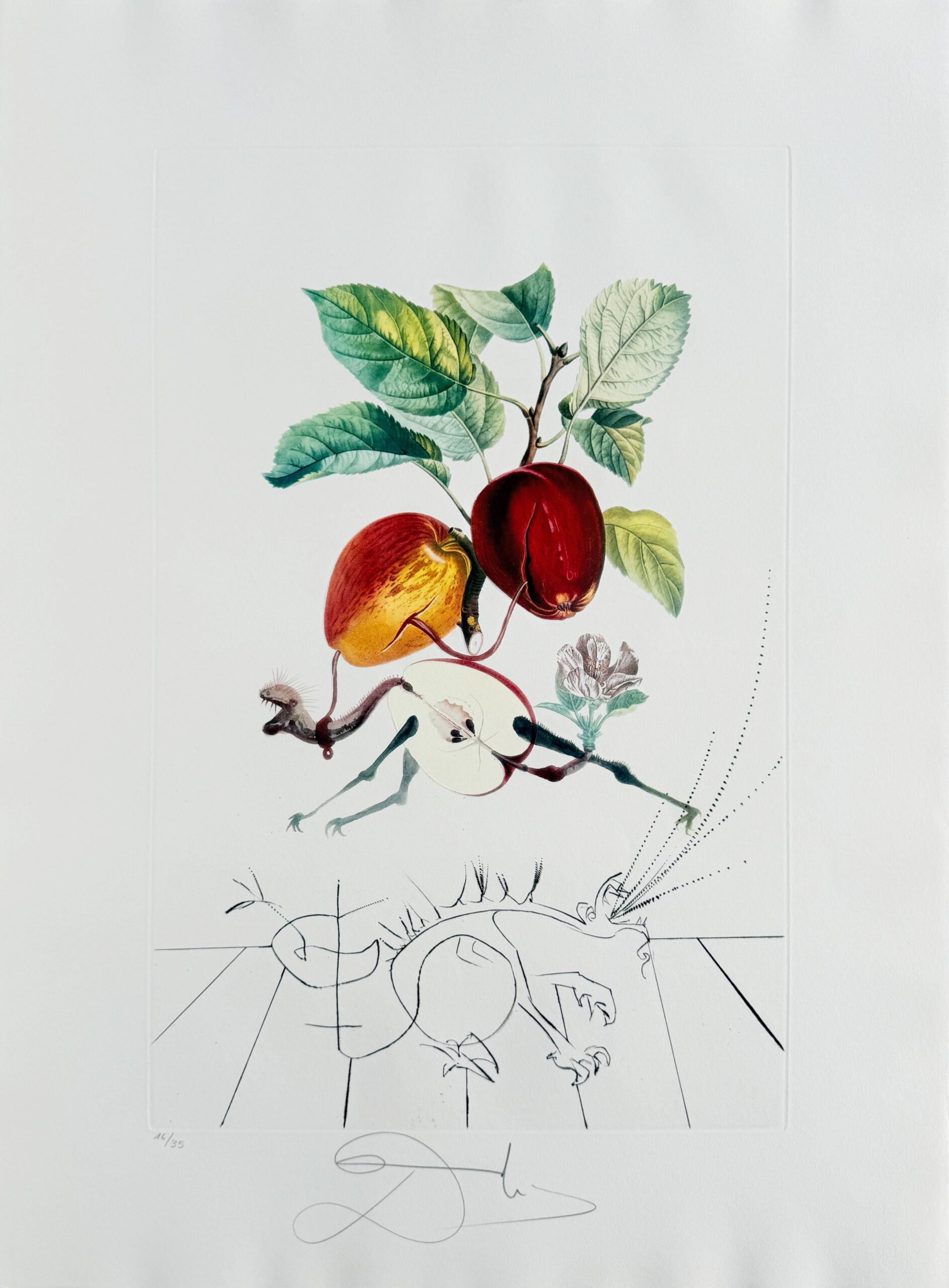 Dragon Apple from Flordali suite by Salvador Dalí