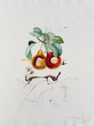 Holed Fruit from Flordali suite by Salvador Dalí at Epicentrum Art Gallery