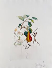 Don Quixote Pear from Flordali suite by Salvador Dalí at Epicentrum Art Gallery