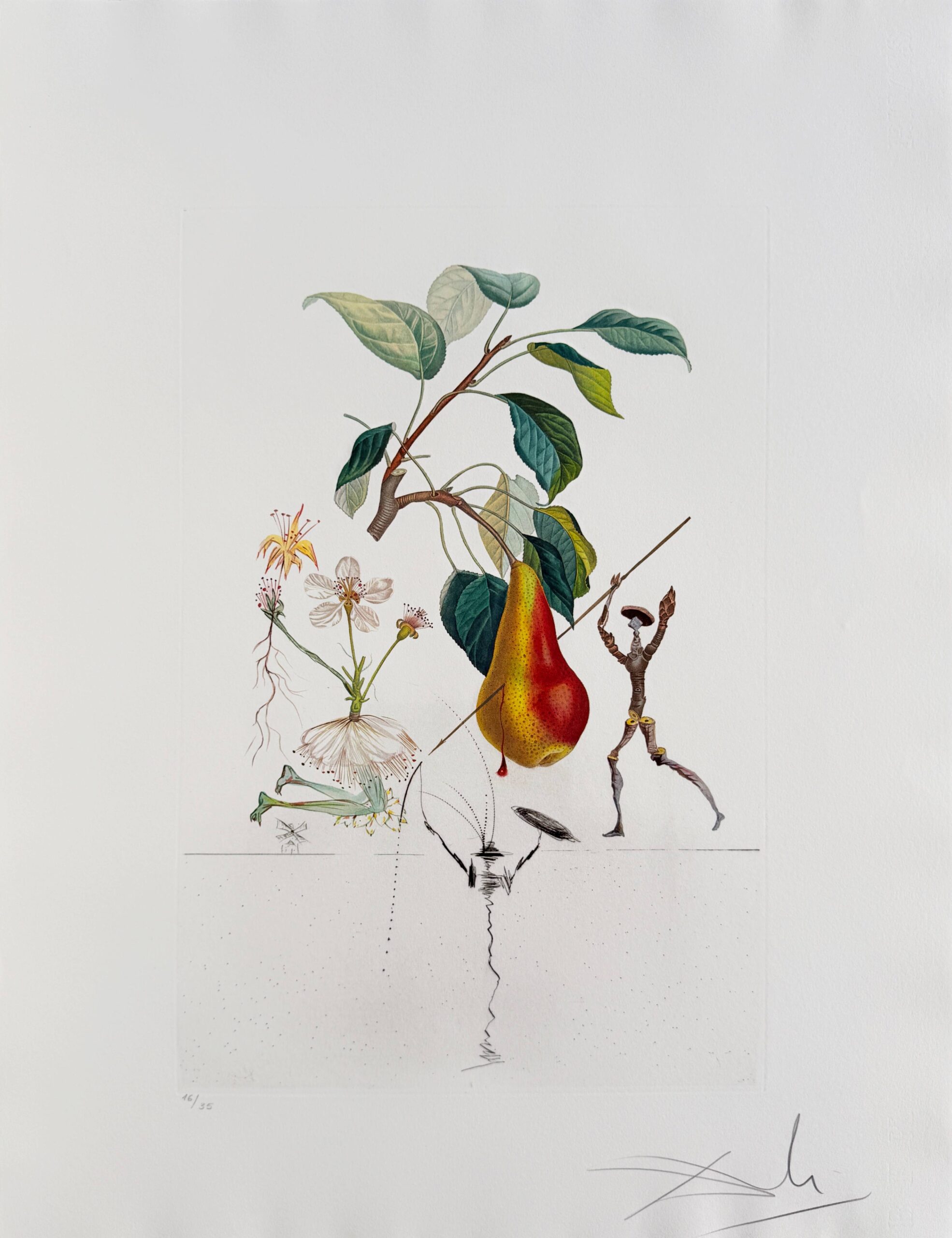 Don Quixote Pear from Flordali suite by Salvador Dalí