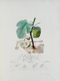 Homme figuier (Fig Man) by Salvador Dalí at Epicentrum Art Gallery