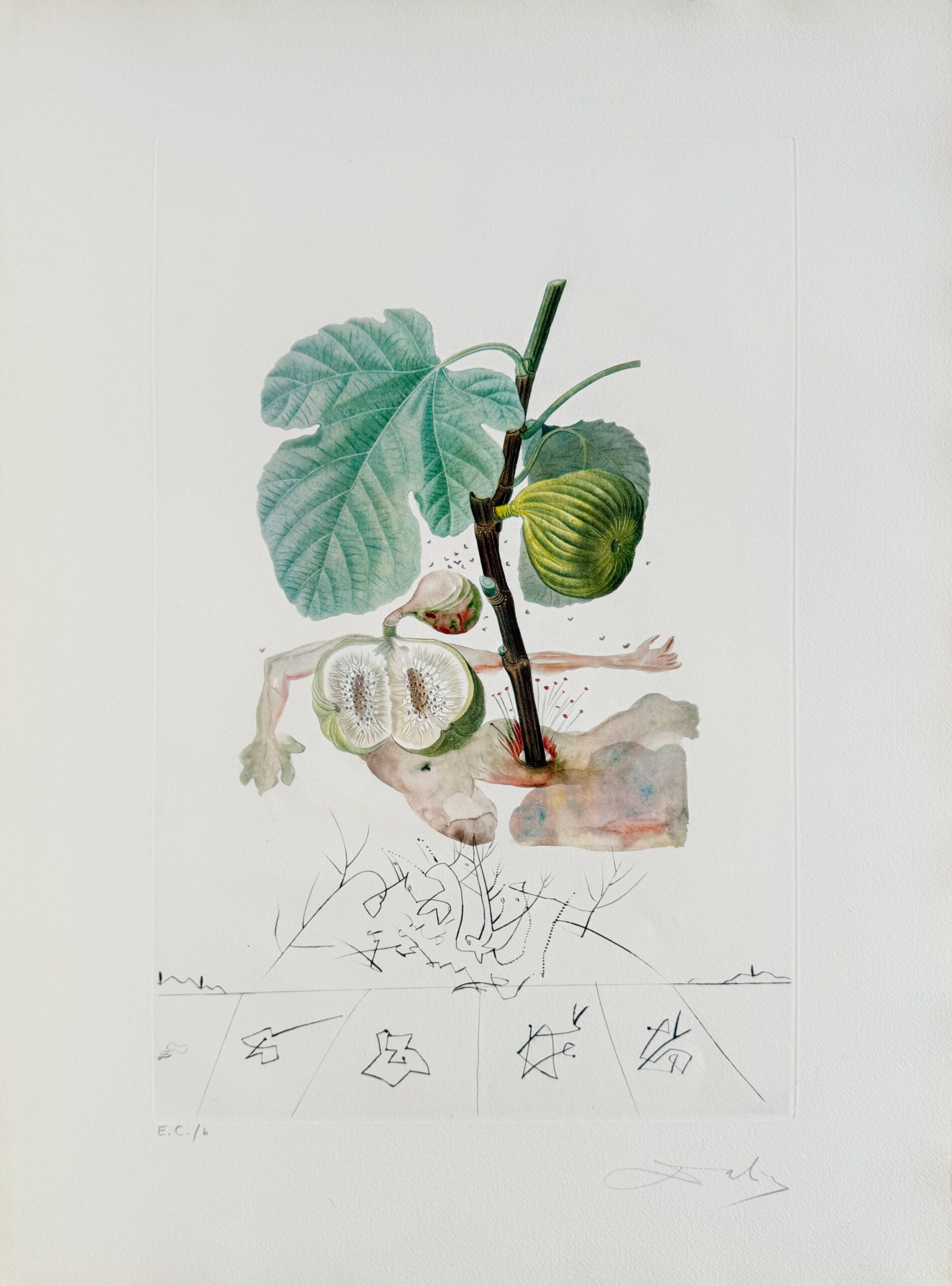 Homme figuier (Fig Man) by Salvador Dalí