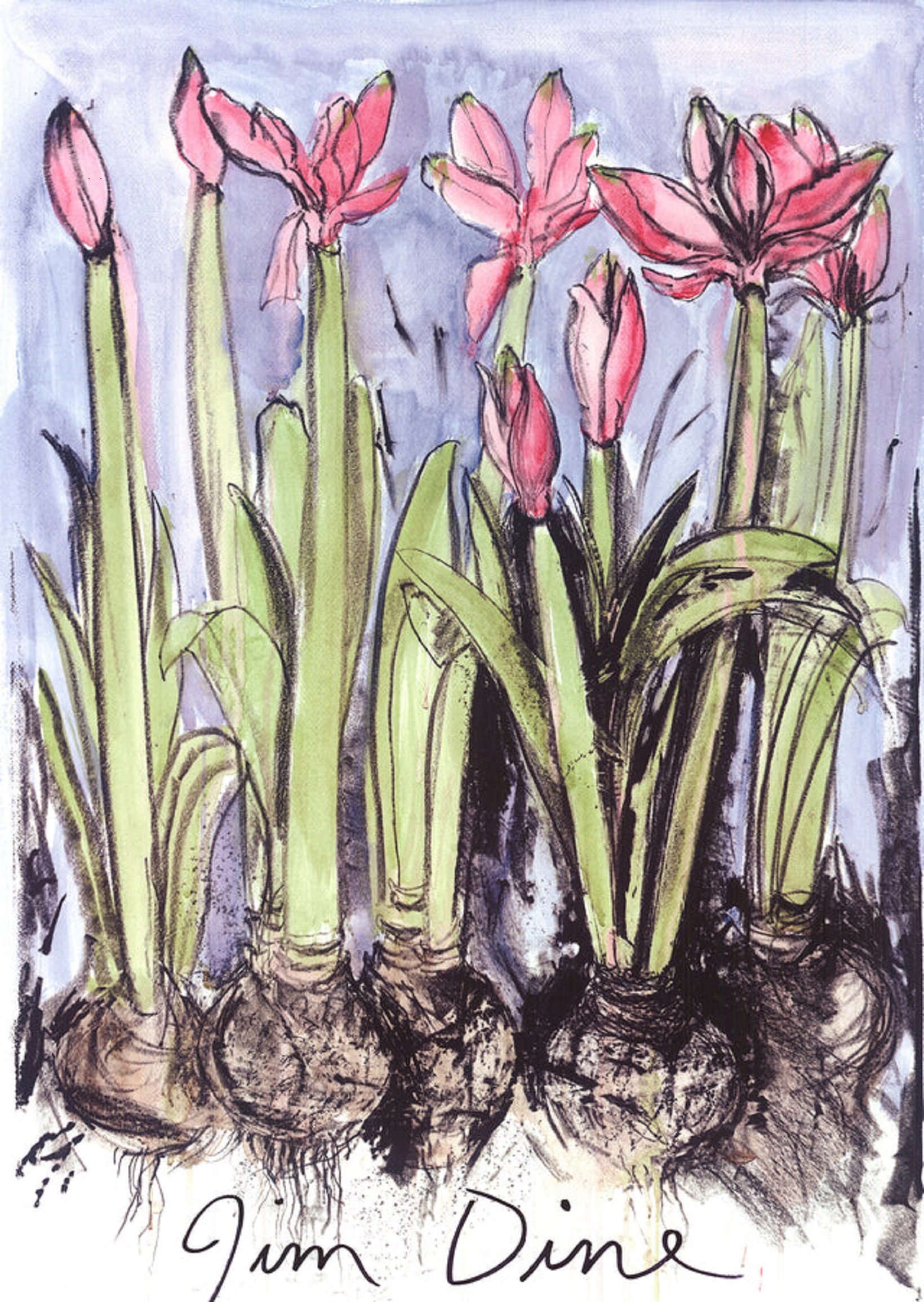 Anemones by Jim Dine