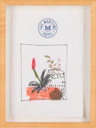 Jonas Wood Untitled (Drawing of Plant Still Life) by Jonas Wood at Clifton Gallery