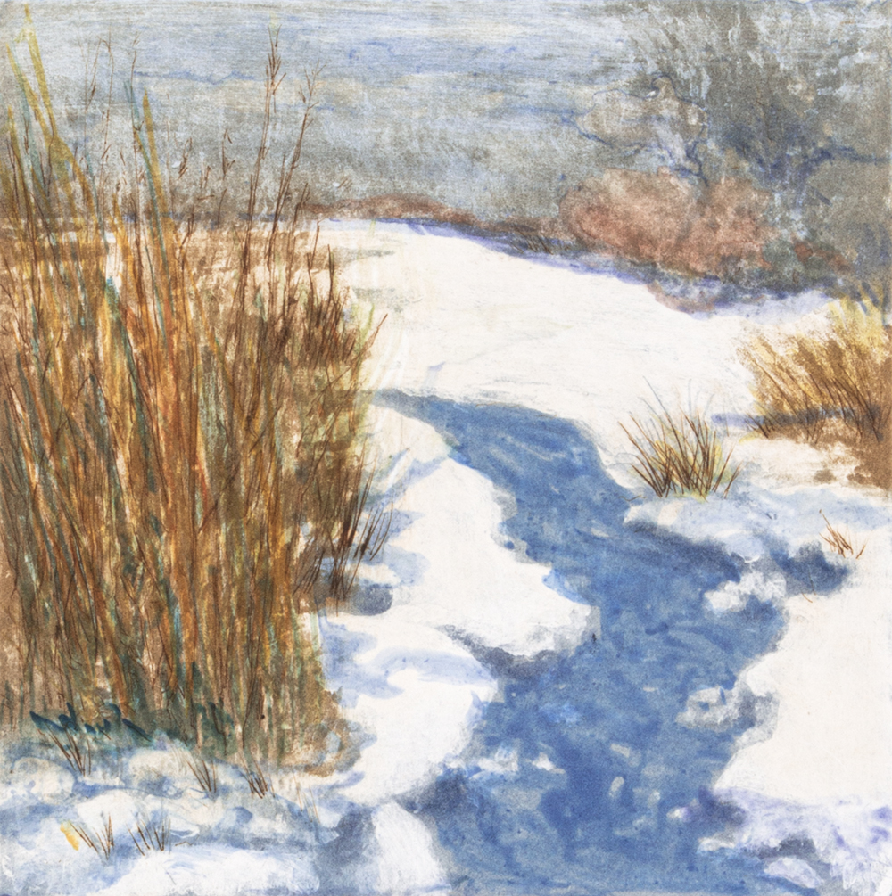 Winter Color by Judy Wolgast