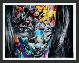 La Cage Et Le Grondement Du Tonnerre (framed, hand signed print) by Sandra Chevrier at GallArt.com