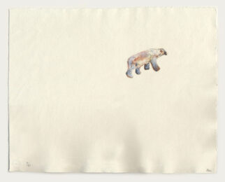 Lone Bear Peel Sound by Barbara Rae at Stoney Road Press