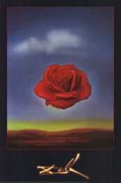 Meditative Rose by Salvador Dalí at Dovehouse Contemporary