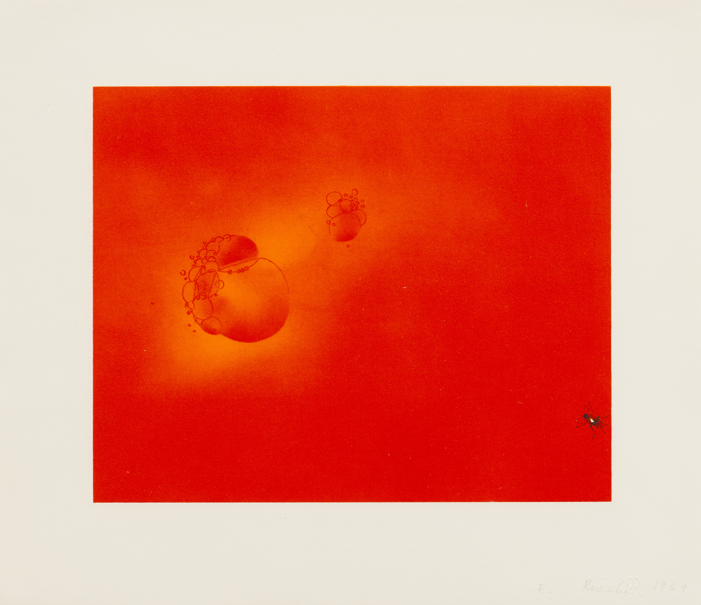 Boiling Blood, Fly by Ed Ruscha