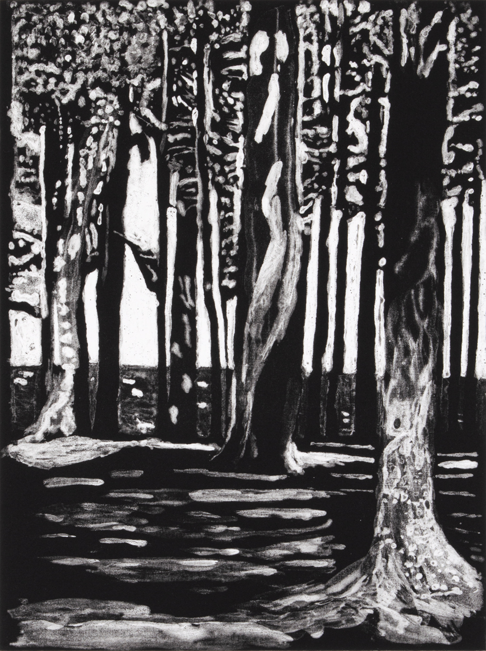 Little Presque Isle Shadows by Sarah Klahn