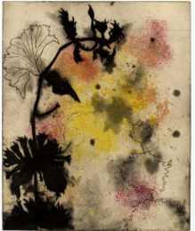 Sky Suite: Escobilla, Outer Planet Missions by Suzi Davidoff at Flatbed Press and Gallery