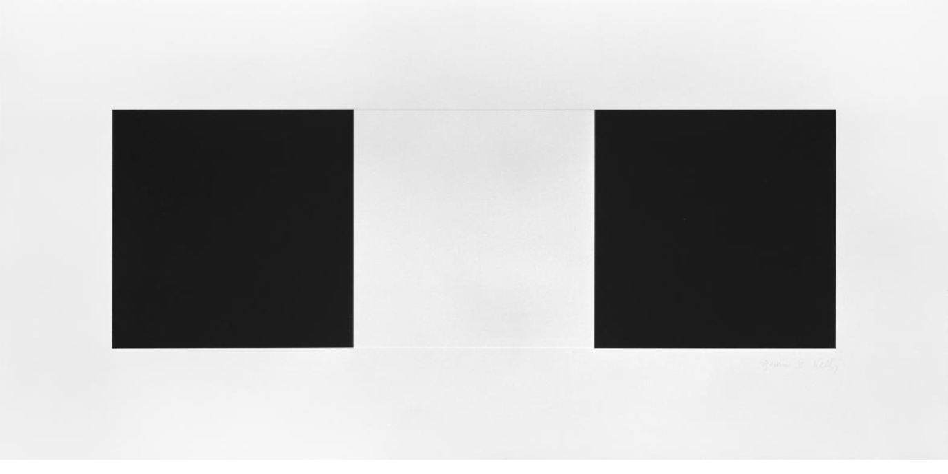 Two Blacks and White by Ellsworth Kelly