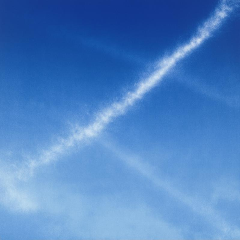 LA Exuberance 15 by Tacita Dean