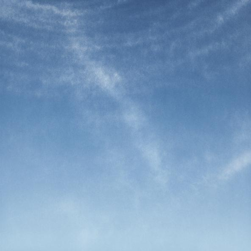 LA Exuberance 14 by Tacita Dean